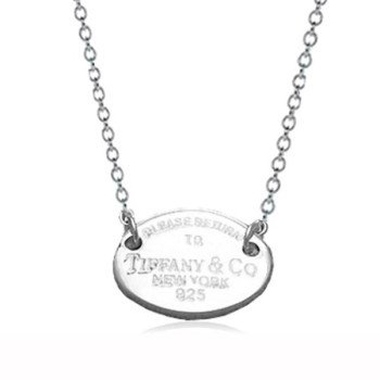 Aesthetic Minimalist Curved Line Pendant Layering Chain Necklace