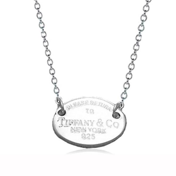 Aesthetic Minimalist Curved Line Pendant Layering Chain Necklace