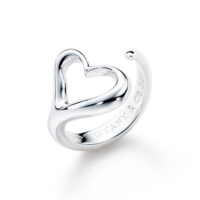 Wholesale Heavy Duty 316L Stainless Steel Precision Casting Ring