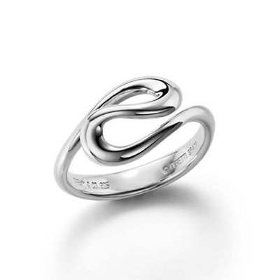 Wholesale Heavy Duty 316L Stainless Steel Precision Casting Ring
