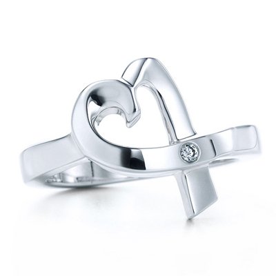 Wholesale Heavy Duty 316L Stainless Steel Precision Casting Ring